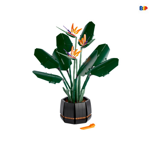 Nuovo sigillato 10289 bird - 10289, of