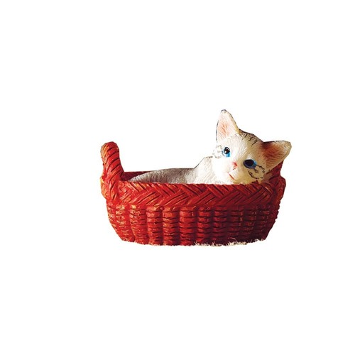 Gattino miniatura nel - gattino, in